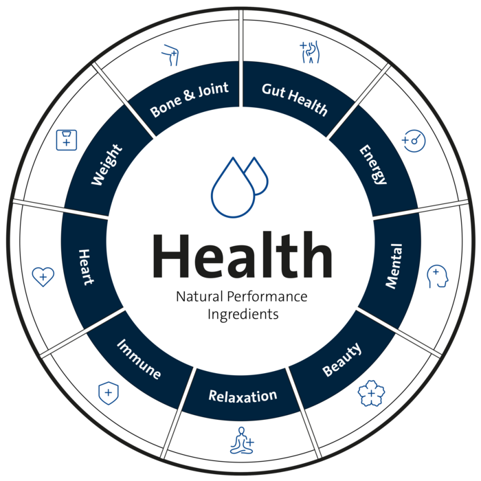 Health wheel