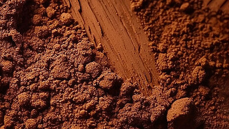 cocoa powder