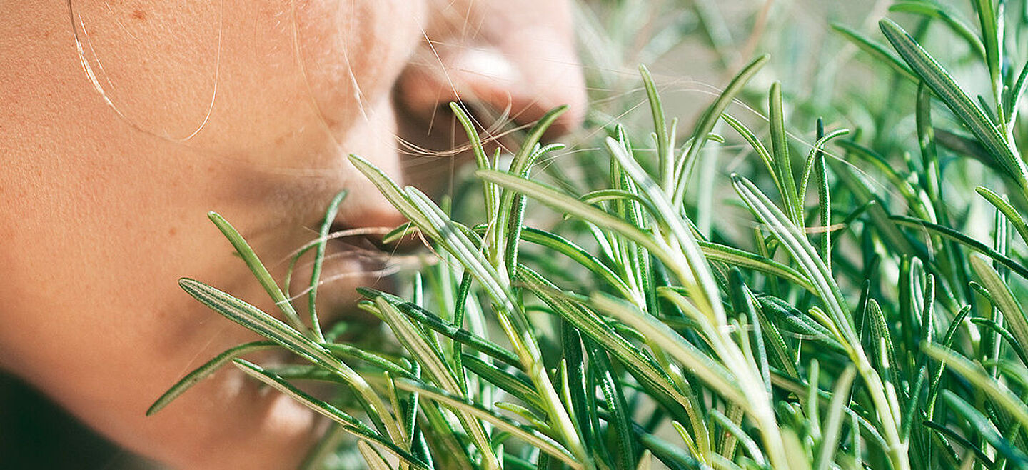 girl smelling rosemary 