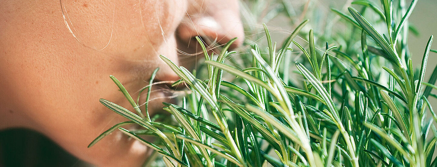 girl smelling rosemary 