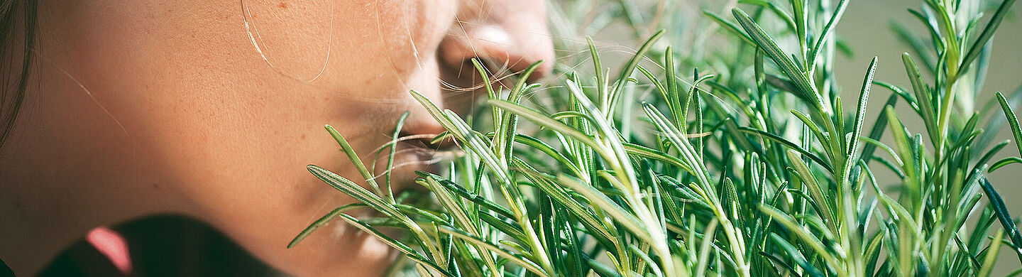 girl smelling rosemary 