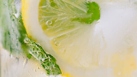 Close-up of fresh lime slices in sparkling water, perfect for refreshing drinks and summer vibes.