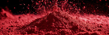 acerola powder