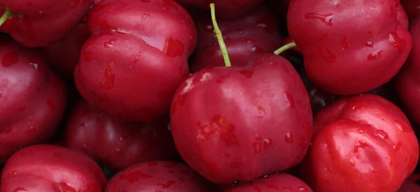 acerola